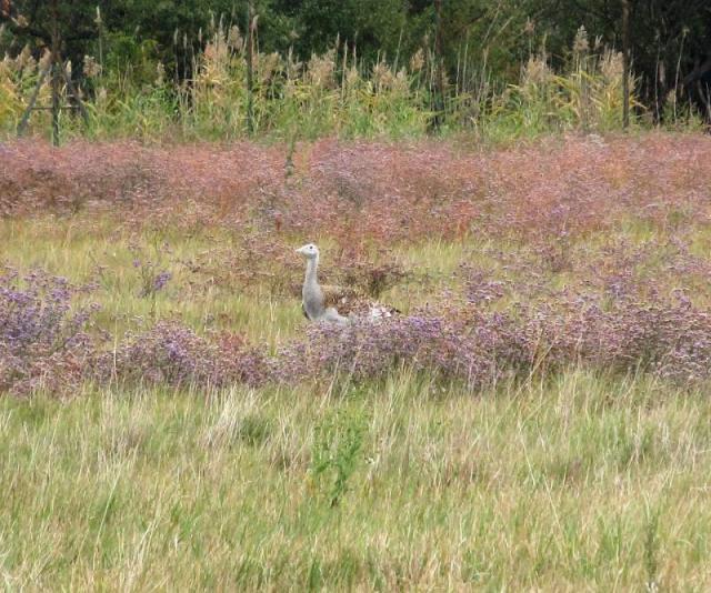 20120923 Kerékpártúra Dévaványára 077